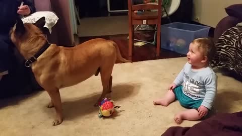 Baby laughing at dog & bubbles