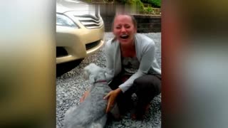 Animals Reunited With Owners After YEARS #12