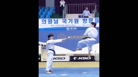 viral amazing tae kwon do fighting art
