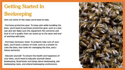 Why Start Keeping Bees
