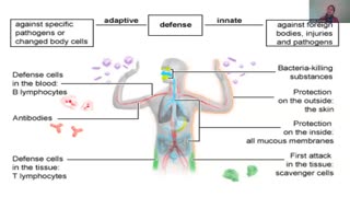 CHRONIC INFLAMMATORY DISEASE - 10