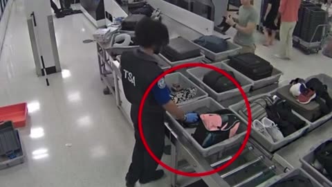 TSA Agents Caught on Surveillance Stealing from Passengers- Charges dropped on 2 of 3