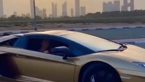 686# Lamborghini Svj