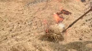 Stubble burning resumes in Indian farm state