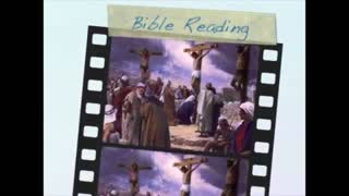 September 4th Bible Readings