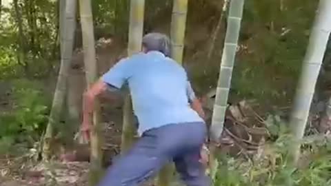 Best Funny Videos - Try to Not Laugh 😆🤣🤣