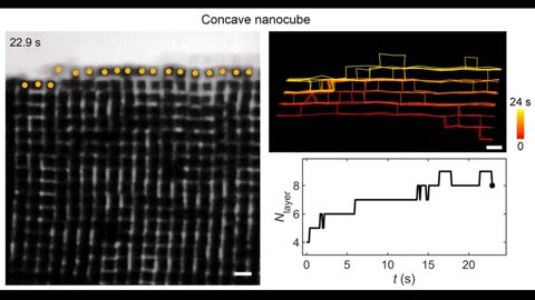 Mesmerizing Process of Nanoparticles Like Graphene Self-assembling Into Solid Materials