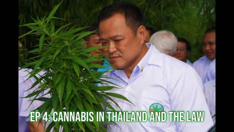 EP 4: Cannabis in Thailand and the Law