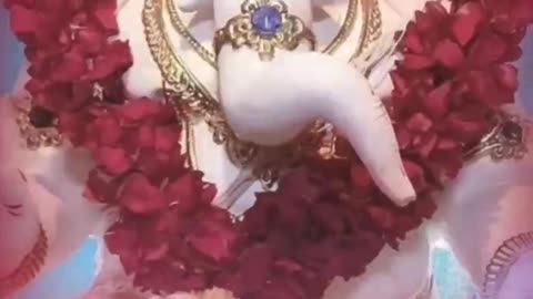 Jai Ganesh Jai Ganesh Jai Ganesh Deva 🙏 Ganesh Aarti #ganesh #viral #shorts
