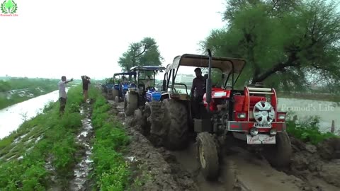 Sonalika 750 Pulled by 3 Tractors when stucked in deep mud _ Swaraj 855 FE _ Powertract Euro 55