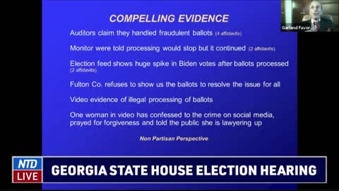 Expert Witnesses Garland Favorito & David Cross - Georgia State House Election Hearing (Dec. 10)