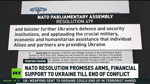 NATO Assembly Calls for Bloc to Label Russia a Terrorist State