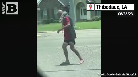 BIG EZ BLUES! Louisiana Man Walks by with LIVE GATOR Slung Around His Shoulders