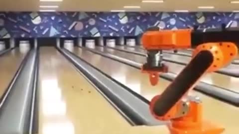 THE HOLLY BOWLING BOT!