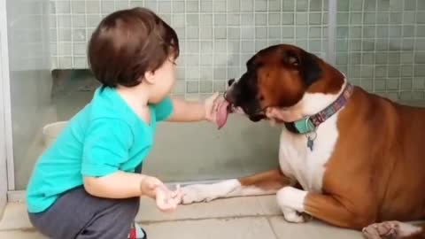 Adorable Moments of Two Best Friends