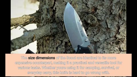 Buyer Comments: Cold Steel 4-Max Scout Folding Knife with Tri-Ad Lock and G-10 Handle, One Size