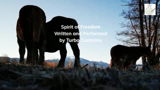 Spirit Of Freedom by Turbo Cummins