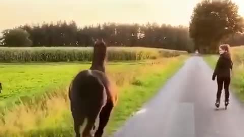 Viral videos funny girle and the horse