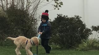 Adorably Toddler Hilariously Struggles To Walk Dog On Leash