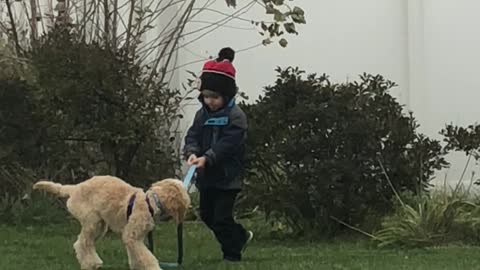 Adorably Toddler Hilariously Struggles To Walk Dog On Leash