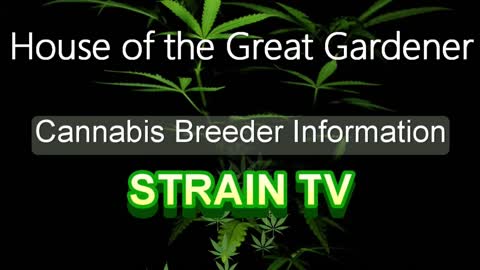 House of the Great Gardener - Cannabis Strain Series - STRAIN TV