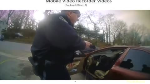 Officer deploys Taser on woman during controversial traffic stop outside Lower Merion Wawa