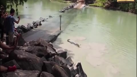 The epic battle between a crocodile and a fisherman on a river in Australia