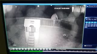 Druggie Steals Slide From Child's Backyard