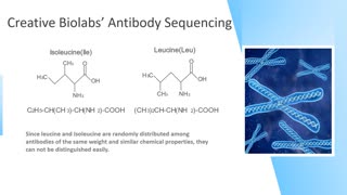 Unequivocal Discrimination of Leucine and Isoleucine in De Novo Antibody Sequencing