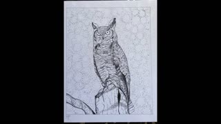 Drawing An Owl