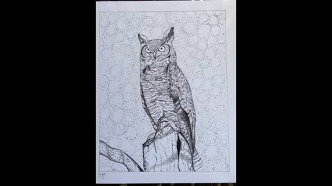 Drawing An Owl