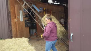 Loading Hay to the Hay loft Oct 11, 2020