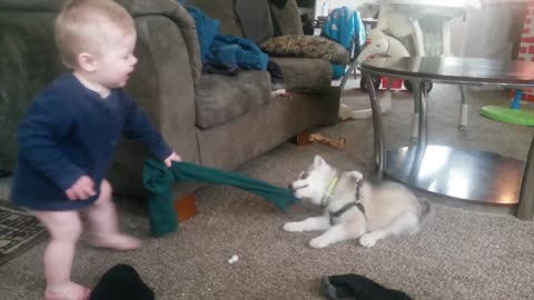 Cute Babies Playing With Dogs Compilation