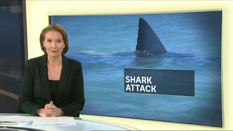 Shark Attacks Tasmanian Boy And Snatches Him From Onboard Boat