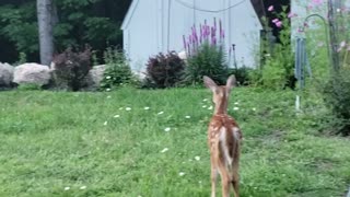 Excited to see his brother