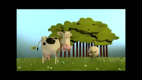 see what this cow does when she looks close to the sheep