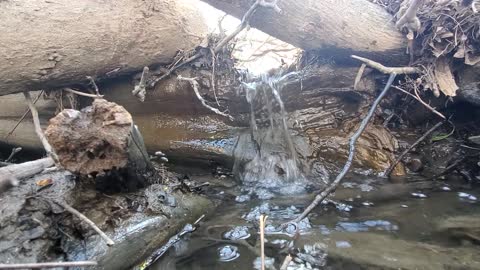 Bubbling brook over stick water fall sound