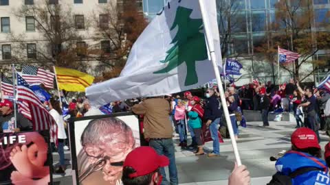 Trump March at Freedom Plaza to The Supreme Court