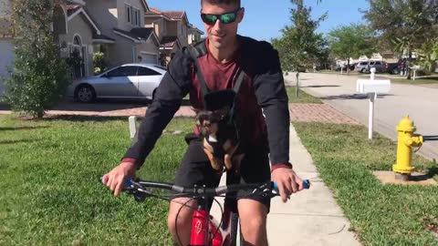 Cute puppy goes for mountain bike ride with her daddy