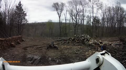 Splitting wood..again! And hauling off some stumps.