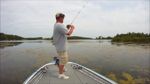 Top water Froggin'