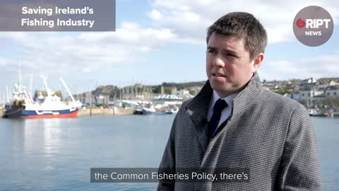 EU and Ireland fisheries: Only 5% of the fish taken from our waters is with Irish boats