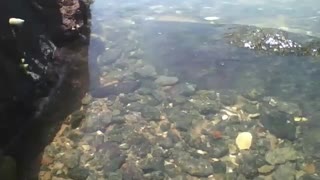 Filming between the rocks in the sea, a wonderful place [Nature & Animals]