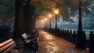 Beautiful night rain