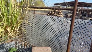 Getting raised bed ready for growing!!