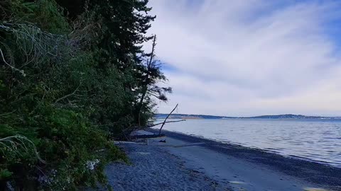 Beach and music