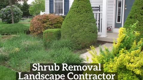 Landscaping Rohrersville Maryland Shrub Removal