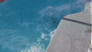 That's One Way to Jump Into a Pool