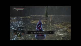 Dark souls 3, Farron Watchdogs invasions