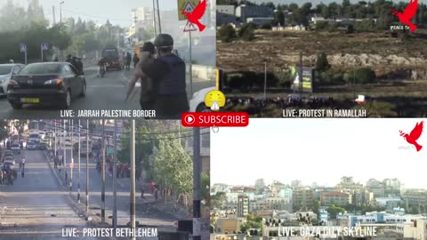 LIVE: ISREAL AND PALESTINE CRISIS THICKENS